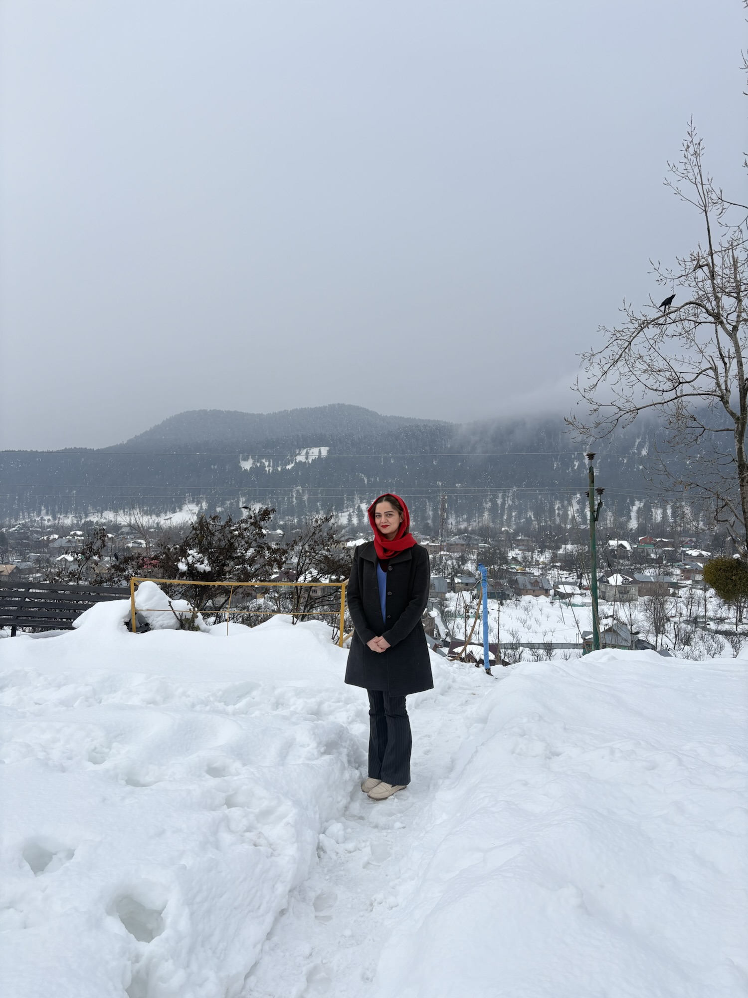 The Quiet Intelligence of Winter Landscapes